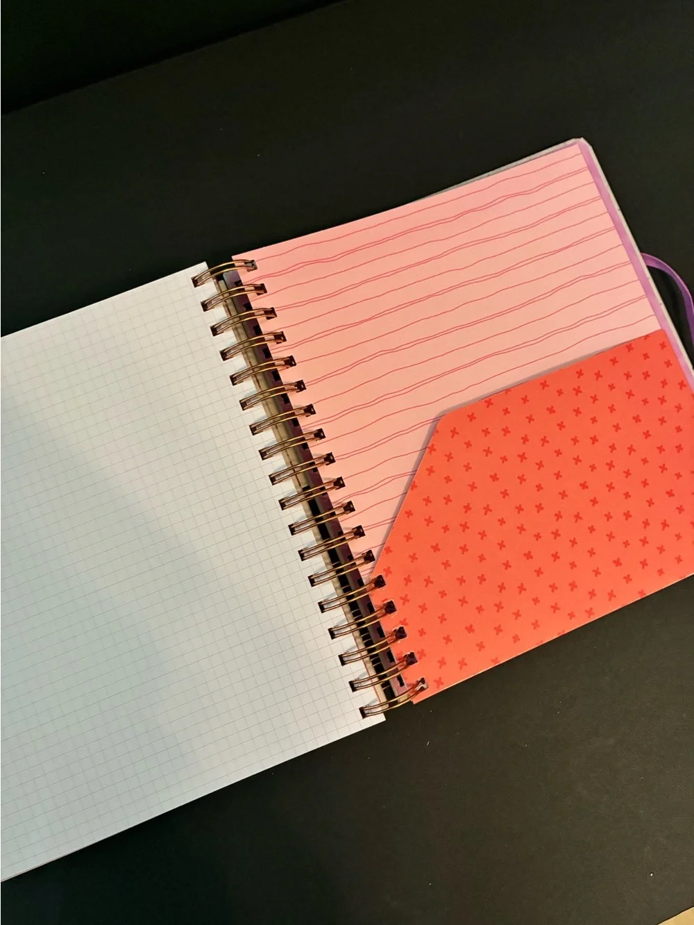 Western Cowgirl 17 month Planner